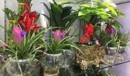 最新爆料花花,揭秘明星背后的生活点滴