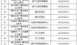 孝感爆料新闻最新消息,突发事件引发社会关注