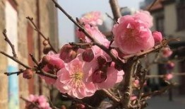 最新爆料花花,揭秘明星背后的生活点滴