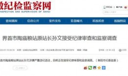 大皖新闻爆料最新消息,重大事件引发社会关注