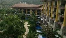 杭州蓝色钱江放火案最新爆料,揭秘悲剧背后的惊人真相