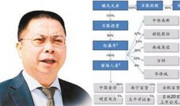 河南频道爆料新闻最新消息,揭秘重大事件背后真相