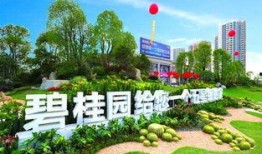 安阳碧桂园爆料案件最新,揭开背后惊人真相